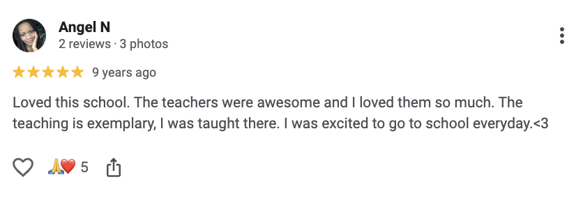 how to write a local school review examples